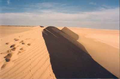 parabole - dunes d'egypte - copyright Patrice Debart 2003