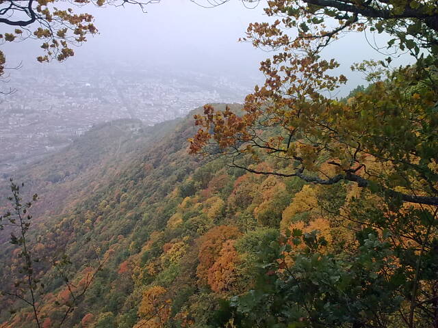 Greoble dans la brume