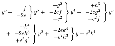 y^6 + \left.\begin{array}{r} +f \\ -2e \end{array}\right\}y^5 + \left.\begin{array}{r} +g^2 \\ -2ef \\ +e^2 \end{array}\right\}y^4 + \left.\begin{array}{r} +h^3 \\ -2eg^2 \\ +e^2f \end{array}\right\}y^3