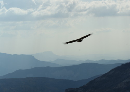 col de rousset - photo copyright Patrice Debart 2009