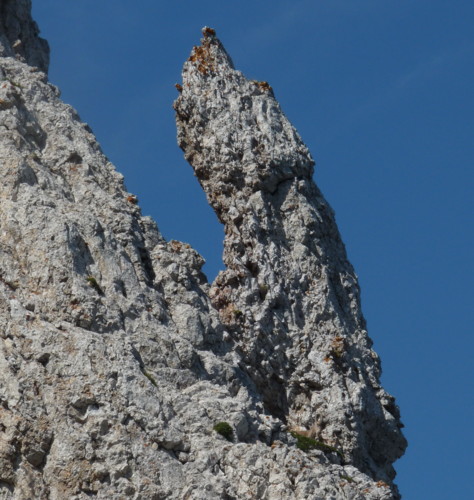 Les Ours De Glandasse - Photo copyright Patrice Debart 2009