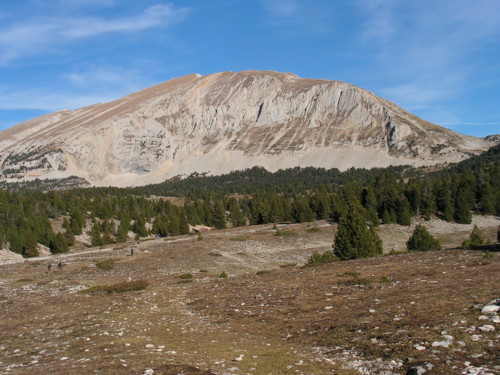 Les Ours De Glandasse - Photo copyright Patrice Debart 2006