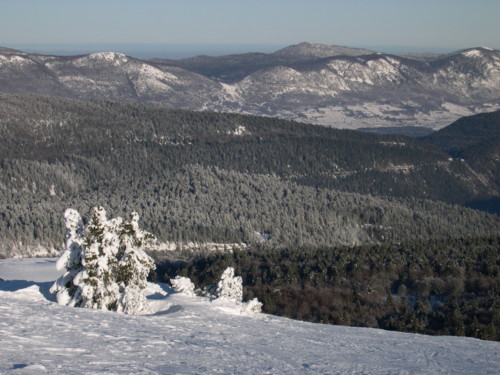 Le plateau