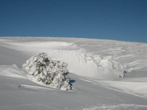 Les crêtes