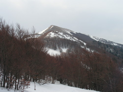 but de neve - col de rousset l'hiver - photo copyright Patrice Debart 2005