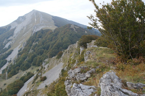but de neve - col de rousset l'ete - photo copyright Patrice Debart 2008