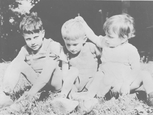 Trois frères 1952