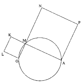 BOA rectangle - homotheties